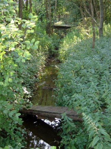 20060722 za zakrzowem1