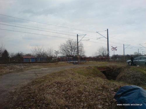 DSC01317
