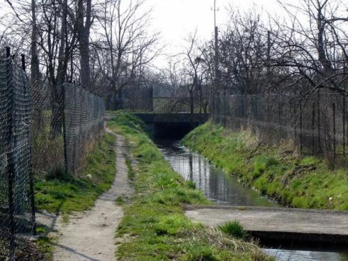 brochowka kladka3