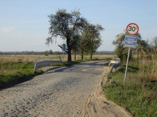 most mokrzyca