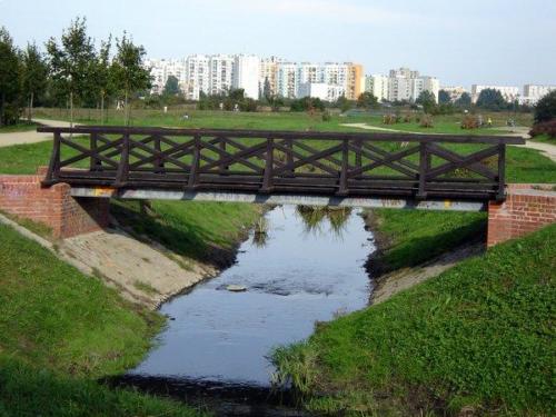 park tysiaclecia1